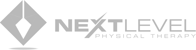 next level logo